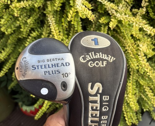 Callaway big bertha - big, steelhead